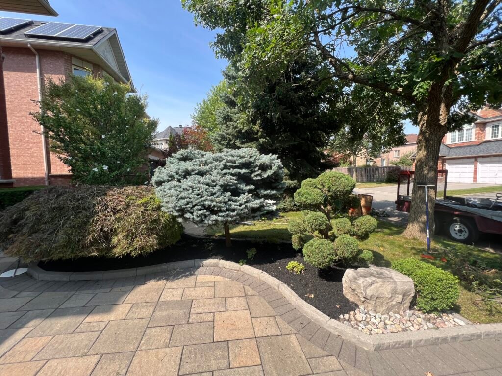 photo 2023 08 21, 3 26 03 pm