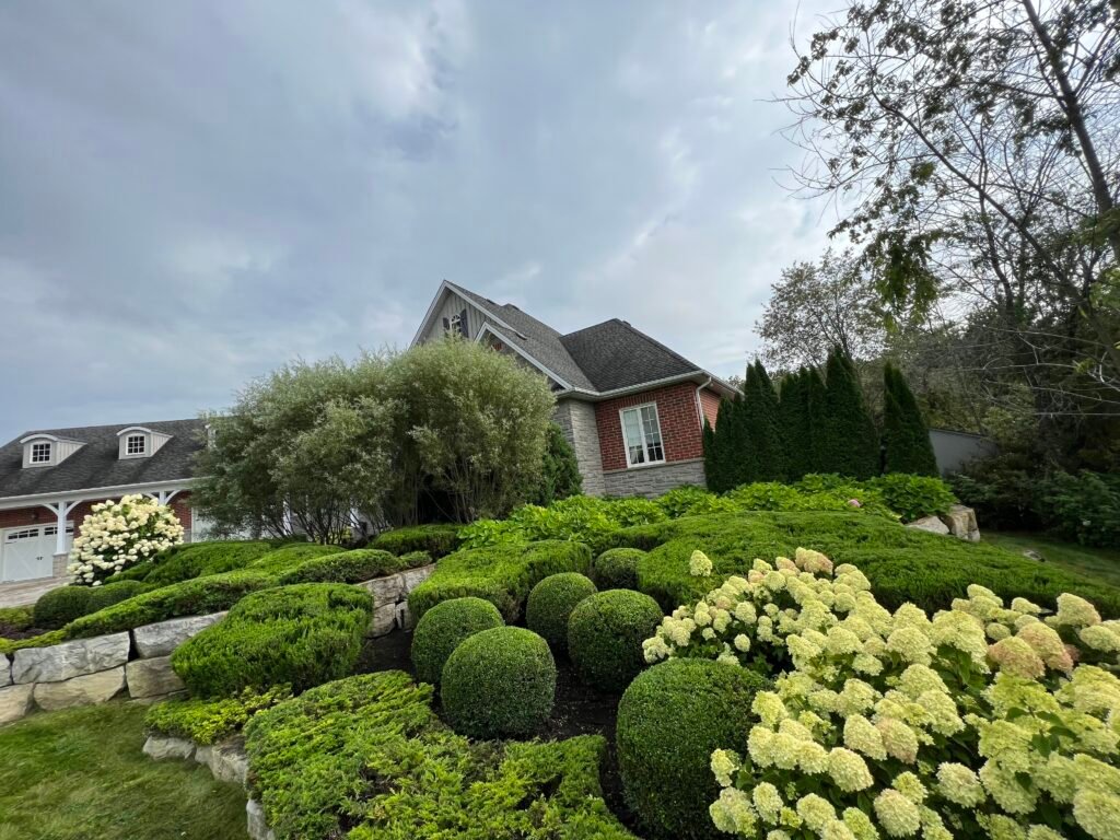 photo 2023 08 24, 4 43 13 pm