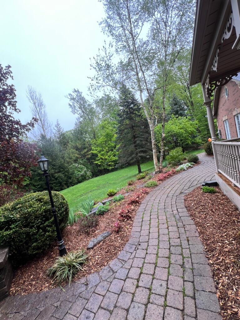 photo 2025 05 22, 11 30 48 am