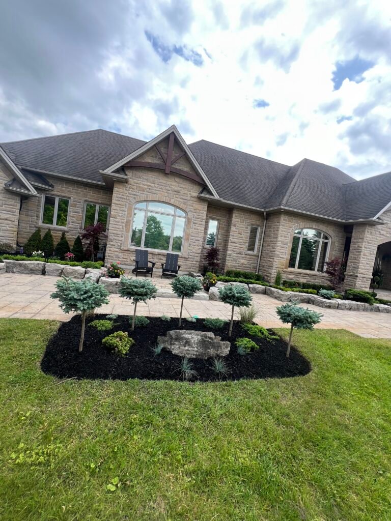 photo 2025 06 18, 2 00 31 pm