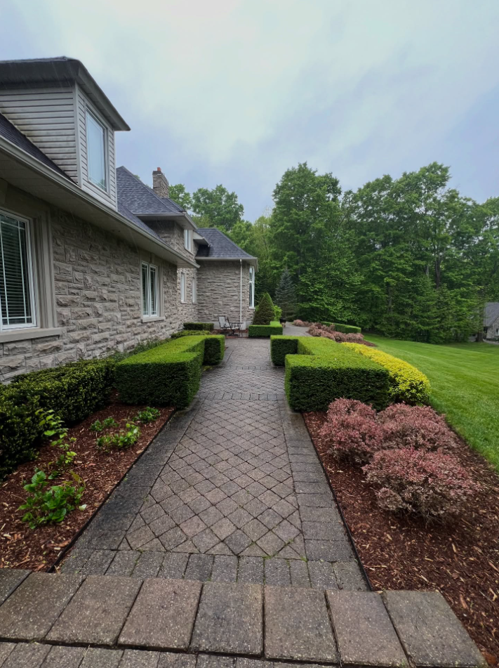 NATURAL MULCHED GARDEN